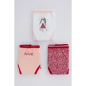 Çok Renkli Kız Çocuk Fiore 3'lü Slip