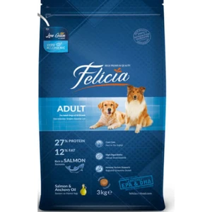 Medium Large Somonlu Yetişkin Köpek Maması 3 kg