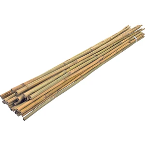 Bambu Bitki Destek Çubuğu 60 cm 10'lu