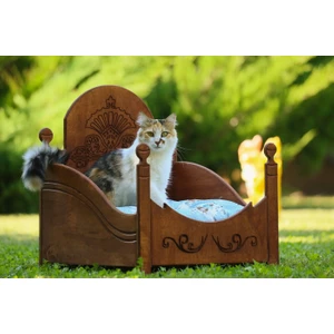 Ahşap Lüks Kedi Yatağı