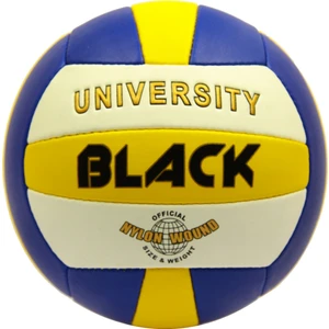 University Voleybol Topu