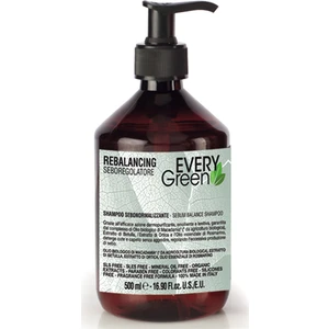 Every Green  Yağlı Saçlar Için Şampuan Sebum Control Shampoo 500 ml
