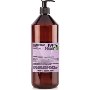 Every Green  Yıpranmış Saçlar Için Şampuan  Damage Hair  Shampoo 1 lt