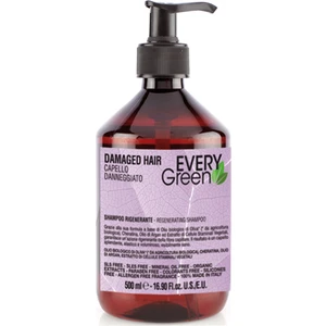 Every Green  Yıpranmış Saçlar Için Şampuan  Damage Hair  Shampoo 500 ml