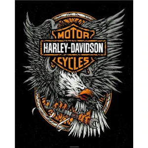 Sticker Fabrikası Harley Davidson Kartal Sticker 00261 9 x 11 cm Renkli