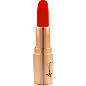 Cashmere Gold Spark Lipstick Ruj 4,5 gr Mürdüm