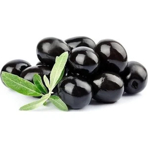 Fidan Ofisim Zeytin Fidanı Gemlik 80 - 100 cm