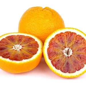 Paket Tüplü Aşılı Kan Portakal Fidanı