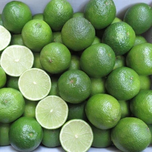Paket Tüplü Aşılı Nadir Meksika Lime Çekirdeksiz Limon Fidanı