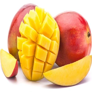 Paket Tüplü Aşılı Tropikal Mango Fidanı