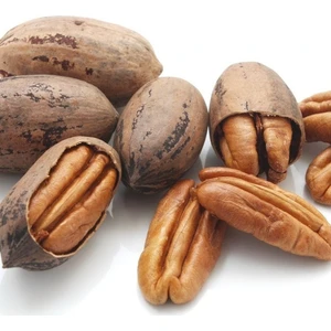 Paket Tüplü Ilıman Sahil Cevizi Pikan Pecan Ceviz Fidanı