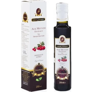 Aliç Meyvesi Ekstraktı 250 ml