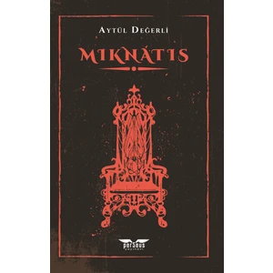 Mıknatıs - Aytül Değerli