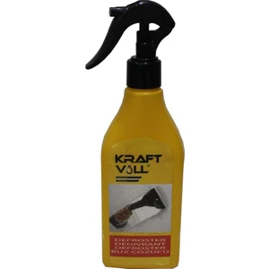 25004 Buz Çözücü Sprey 250 ml