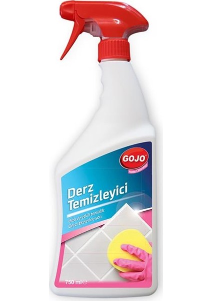 Derz Temizleyici 750 ml