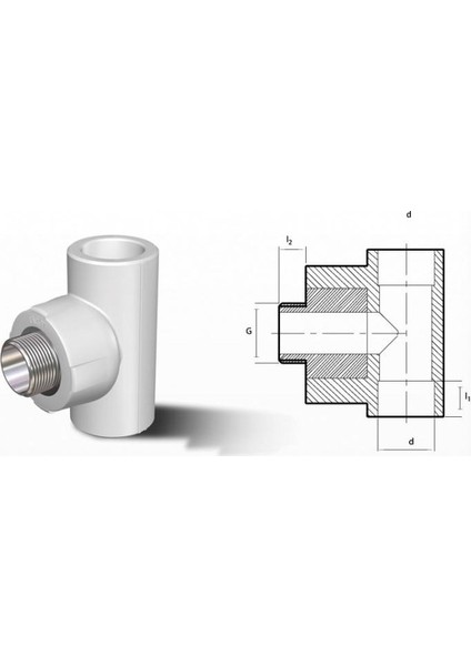 25 mm-3/4" Dış Dişli Te