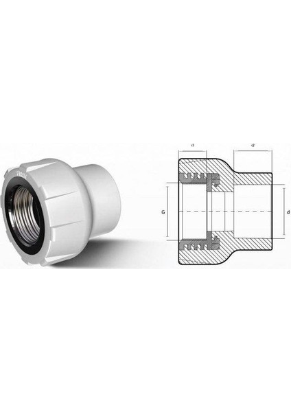 Pprc 25 mm-3/4" İç Dişli Rekor