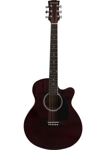 4000CE-WRS Elektro Akustik Gitar