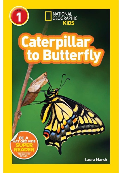 National Geographic Readers: Caterpillar to Butterfly - Laura Marsh
