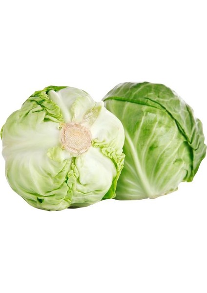 Seeds Lahana Tohumu Yalova Sarmalık Beyaz 5 gr