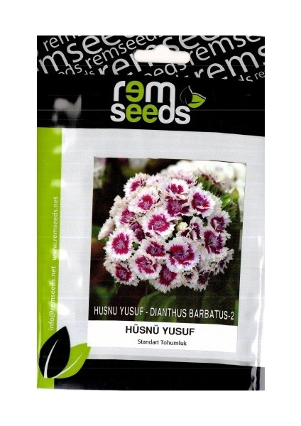 Seeds Hüsnü Yusuf Çiçek Tohumu Dianthus Barbatus 50'li