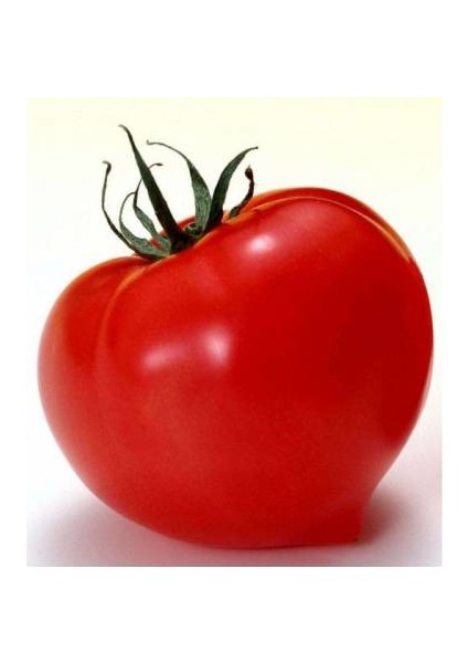 Seeds Domates Tohumu Falcon 3 gr 750'li