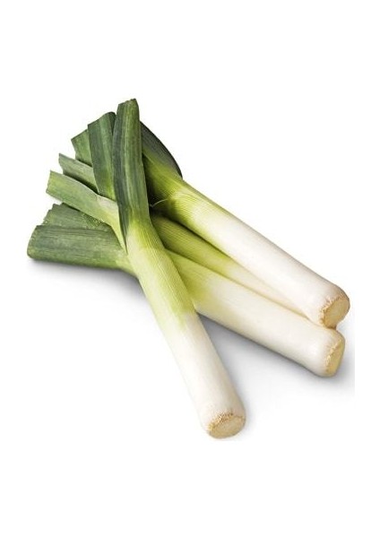 Pırasa Tohumu Inegöl 92 5 gr 1500'lü