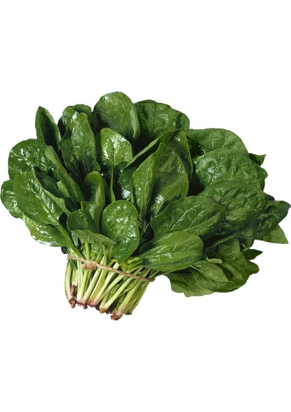 Ispanak Tohumu 1 kg