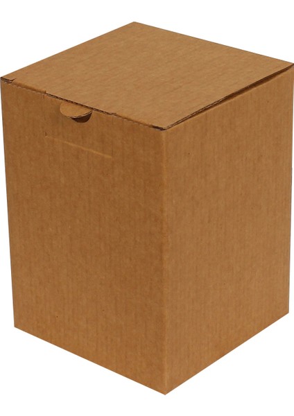 Kraft E-Ticaret Kargo Kutusu 12x12x16 cm 25'li modelleri