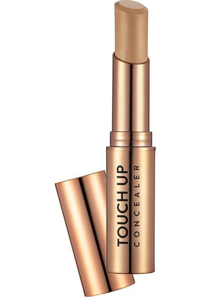 Touch Up Concealer Light  040