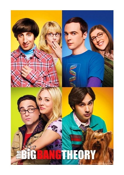 The Big Bang Theory Mosaico Maxi Poster