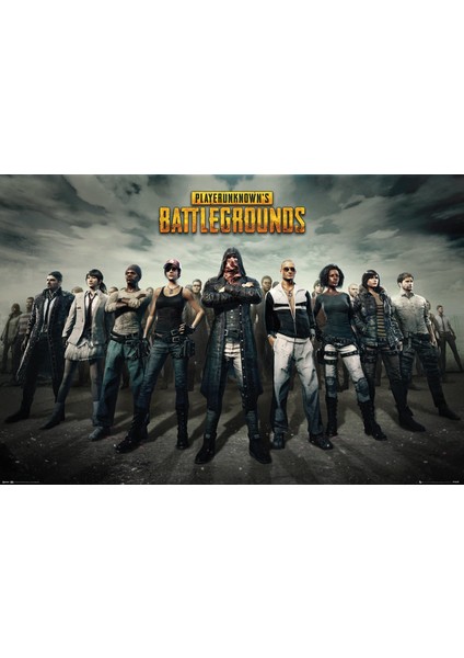 Pubg Group Maxi Poster