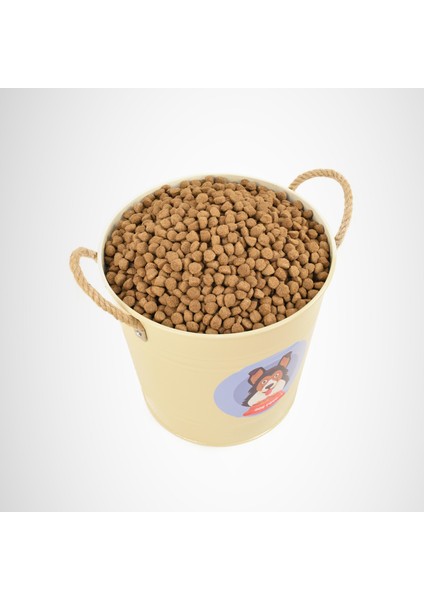 Köpek Maması Saklama Kabı Urgan Kulplu Krem