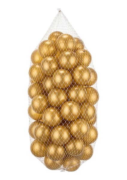 Oyun Havuzu Topu 66'lı