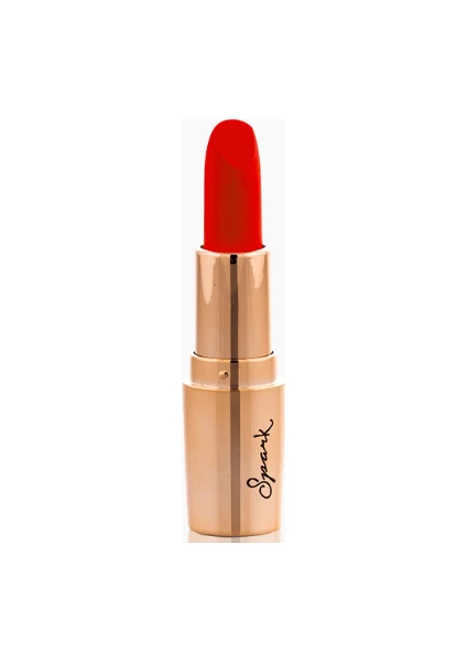 Cashmere Gold Spark Lipstick Ruj 4,5 gr Mürdüm