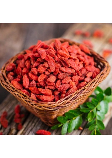 Paket Tüplü Kırmızı Goji Berry Fidanı