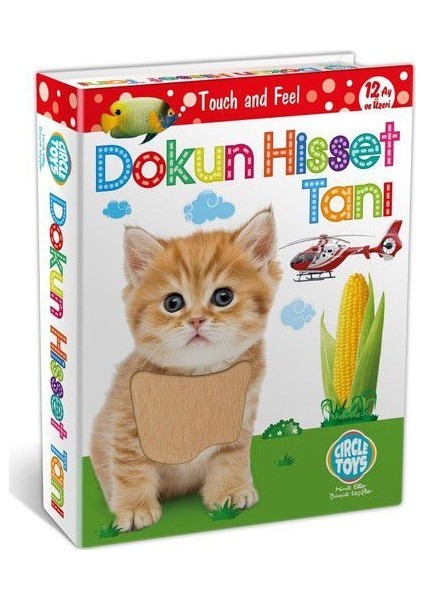 Circle Toys Dokun Hisset Tanı Kartları