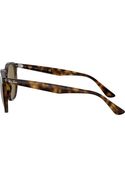 RB4306 710/73 Unisex Güneş Gözlüğü modelleri