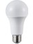 9W Mavi Renk Led Ampul CT-4277 1
