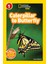 National Geographic Readers: Caterpillar to Butterfly - Laura Marsh 1