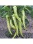 Seeds Biber Tohumu Yalova Çarliston 341 5 gr 600'lü 1