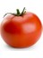 Seeds Domates Tohumu H.2274 3 gr 750'li 1