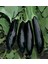 Seeds Patlıcan Tohumu Aydın Siyahı 55 100 gr 1