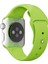 Apple Watch Seri 7/6/SE/5/4/3 Silikon Kordon 41mm 40mm 38mm Uyumlu Yeşil 1