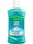 Cool Mint Mouthwash 500 ml 1