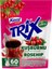 Trix Kuşburnu Aromalı Toz Içecek 300 gr 12 Adet 1