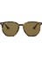 RB4306 710/73 Unisex Güneş Gözlüğü 1