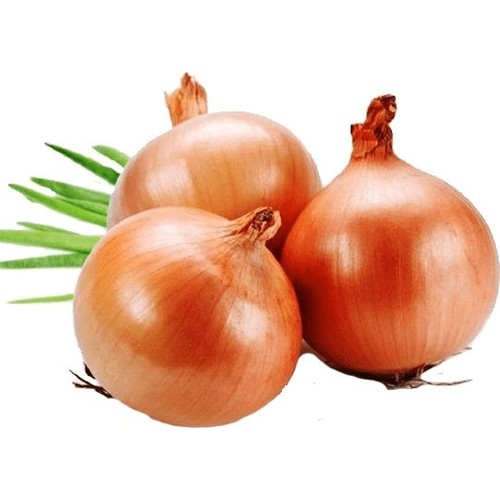 bayram tohum sogan tohumu bayram 1 kg