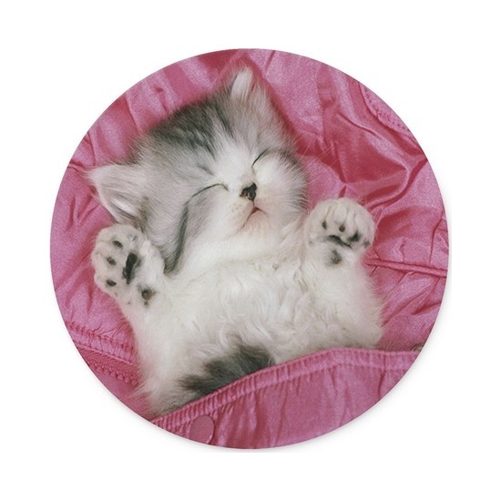 Wuw Uyuyan Güzel Kedi Yuvarlak Mouse Pad Fiyatı