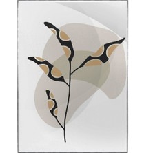 SHOP365 Doğa Bitki Modern Illüstrasyon Poster P-002555